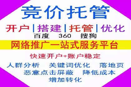 SEM托管代运营案例：助力企业品牌塑造